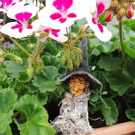 Apartment Usis_ferienwohnung Im Harz Quedlinburg